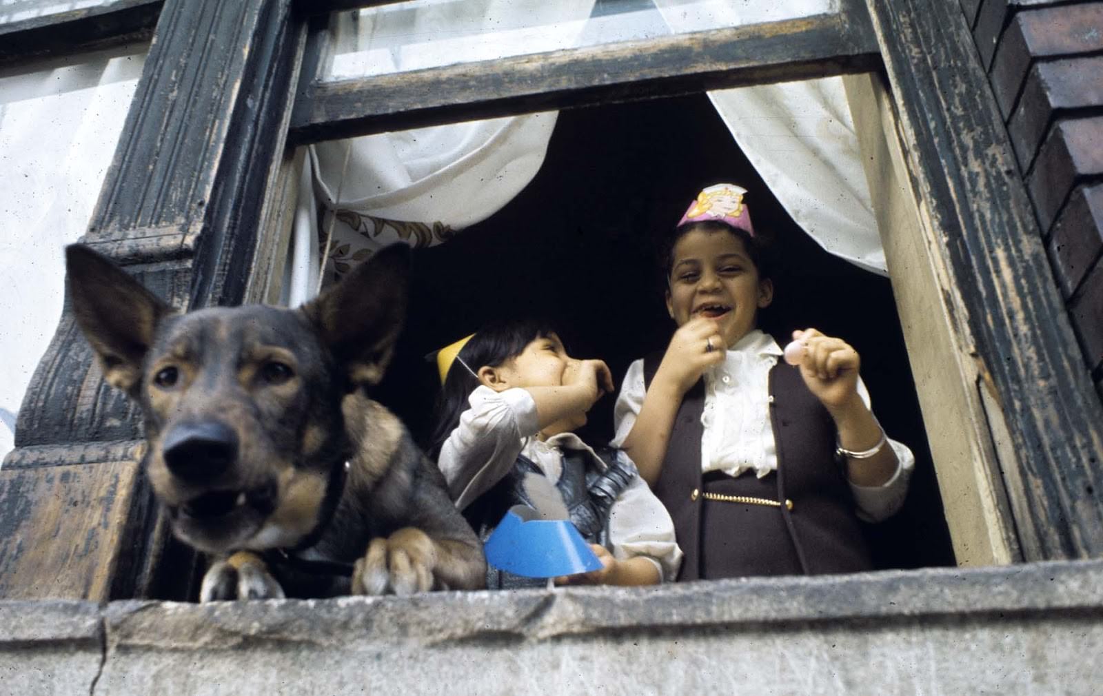 #46 Children with dog, Williamsburg, Brooklyn, 1970.