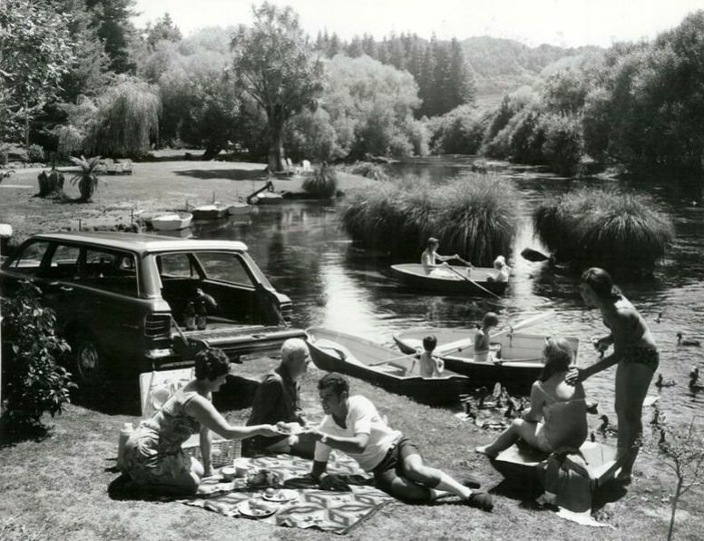 #43 Hamurana Picnic scene at Rotorua, January 1970