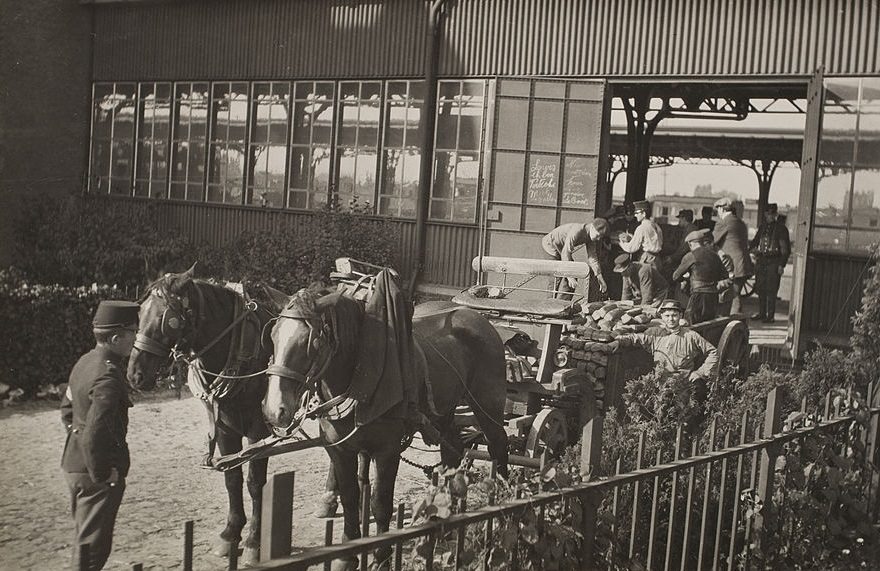 #41 Thousands of loaves of bread being hauled by wagons to various townes where Belgian refugees are kept, 1916.