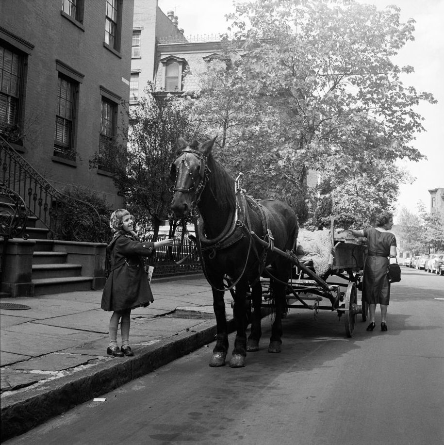 #16 A young girl smiles at a horse that is delivering plants in in Brooklyn Heights, March 1958.