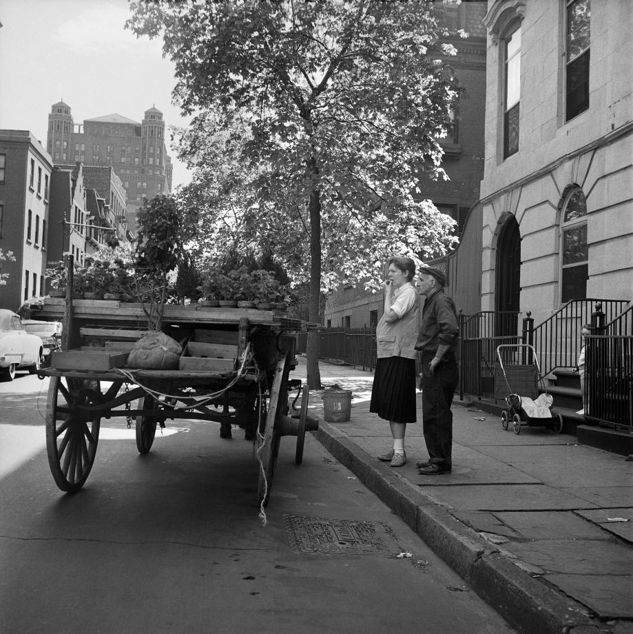 #54 A young child watches as a man delivers plants from a horse-drawn carriage in Brooklyn Heights, March 1958.