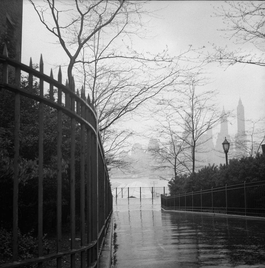 #65 The Brooklyn Heights Promenade in the rain, March 1958.