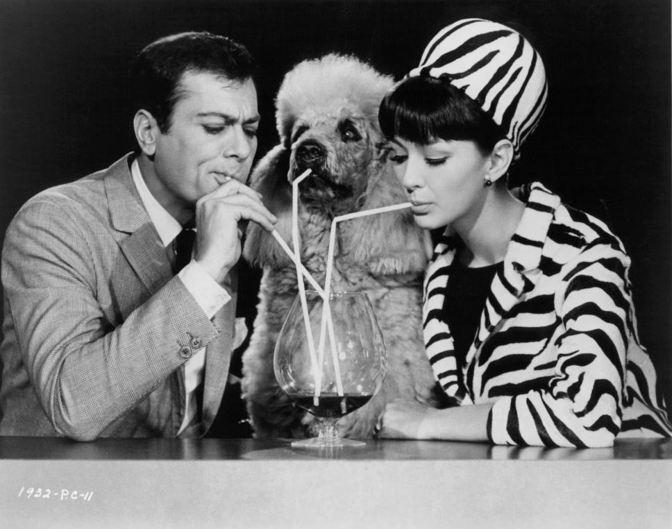 #34 Christine Kaufmann with Tony Curtis and dog, sucking on straws in publicity portrait for the film ‘Wild And Wonderful’, 1964.