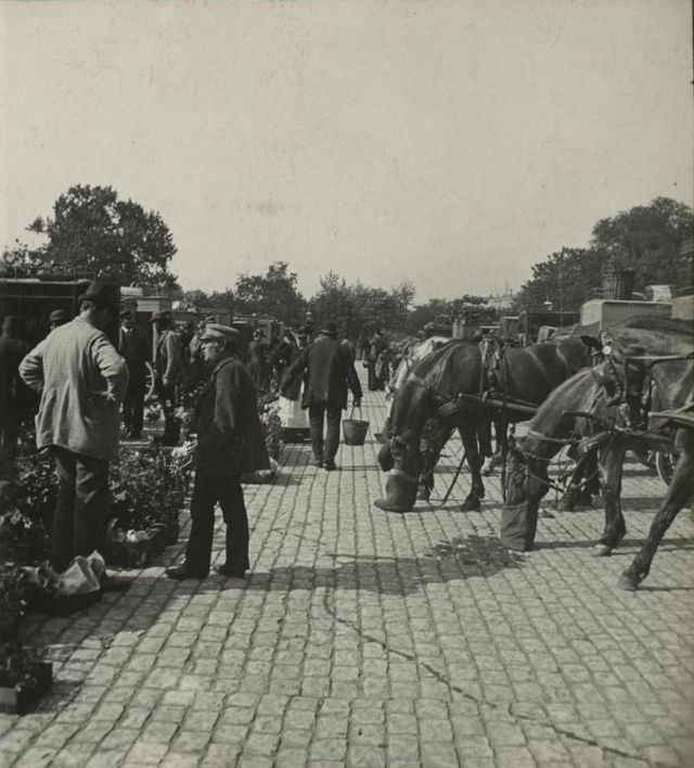 #15 From Grønttorvet