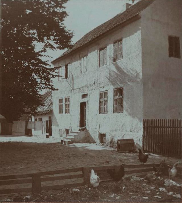 #2 Amager, Dyveke’s yard