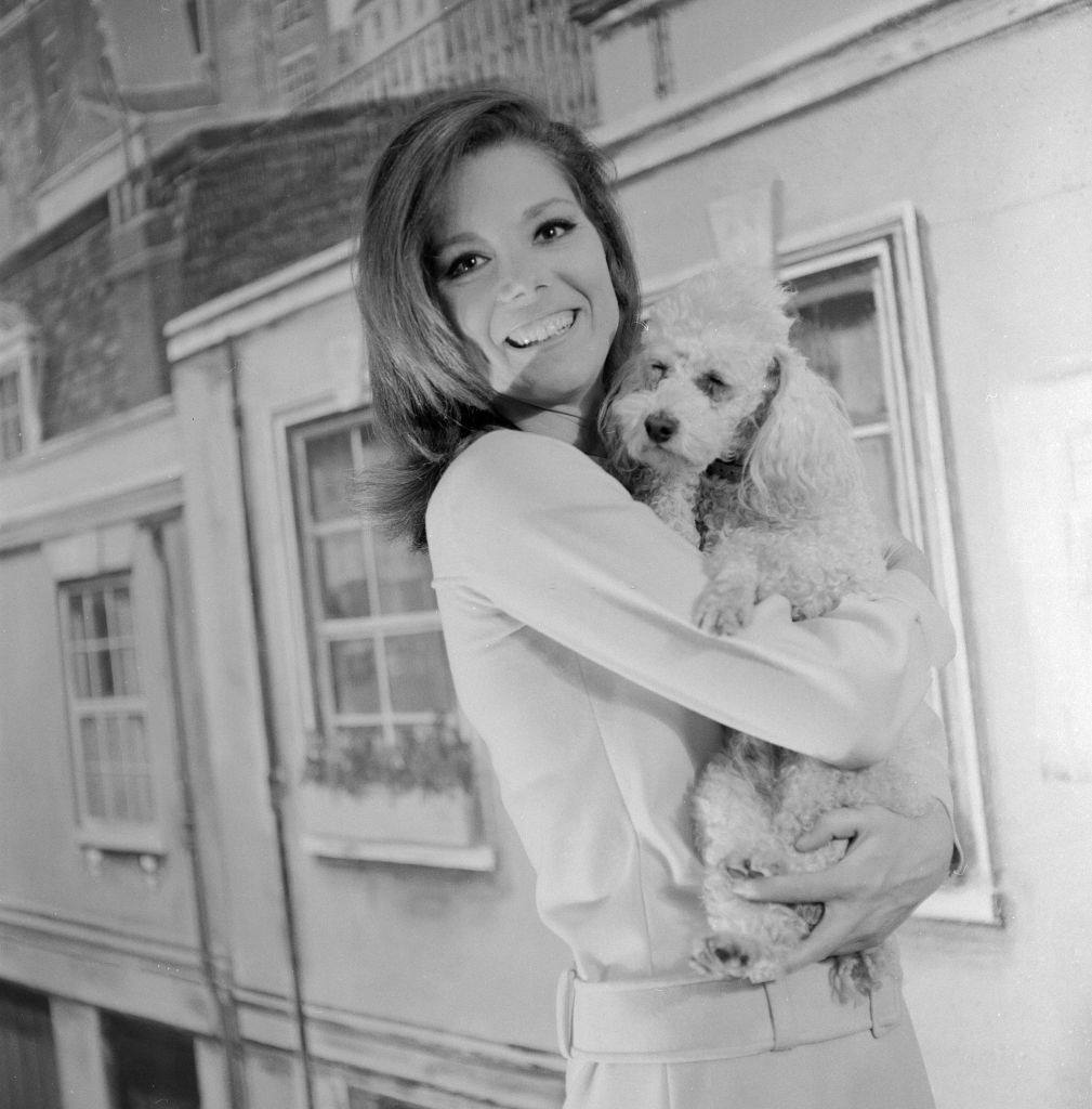 #19 Diana Rigg holding a dog, 1966