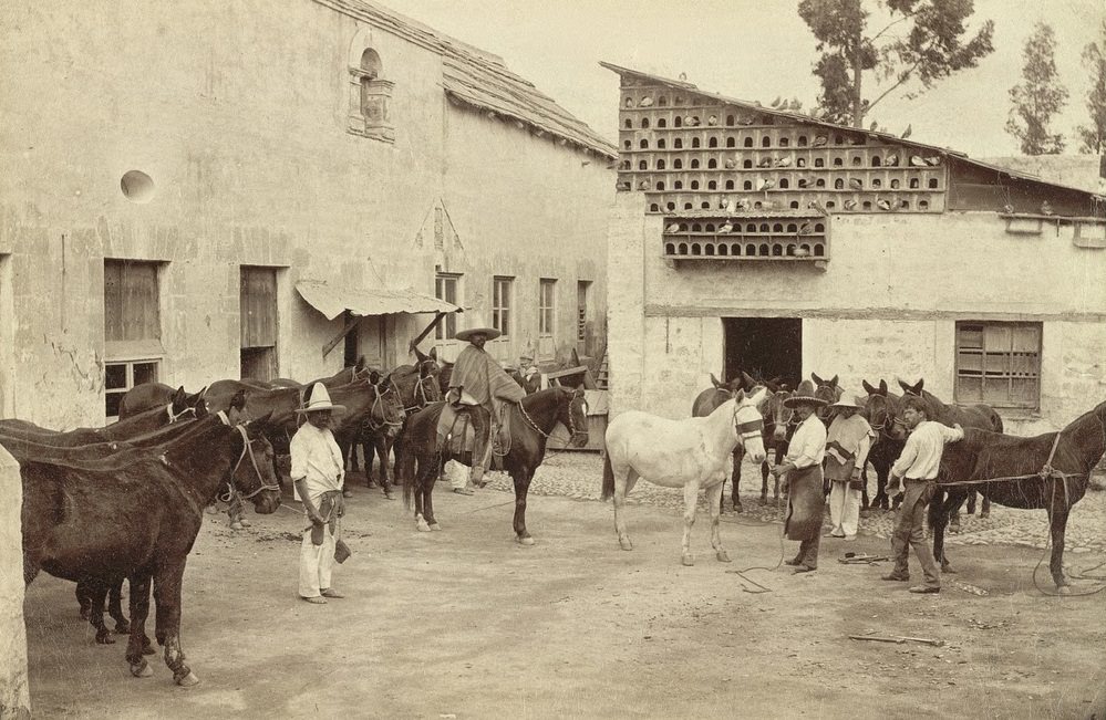 #18 Shoeing the Mules (Mexican Village Scene), 1855
