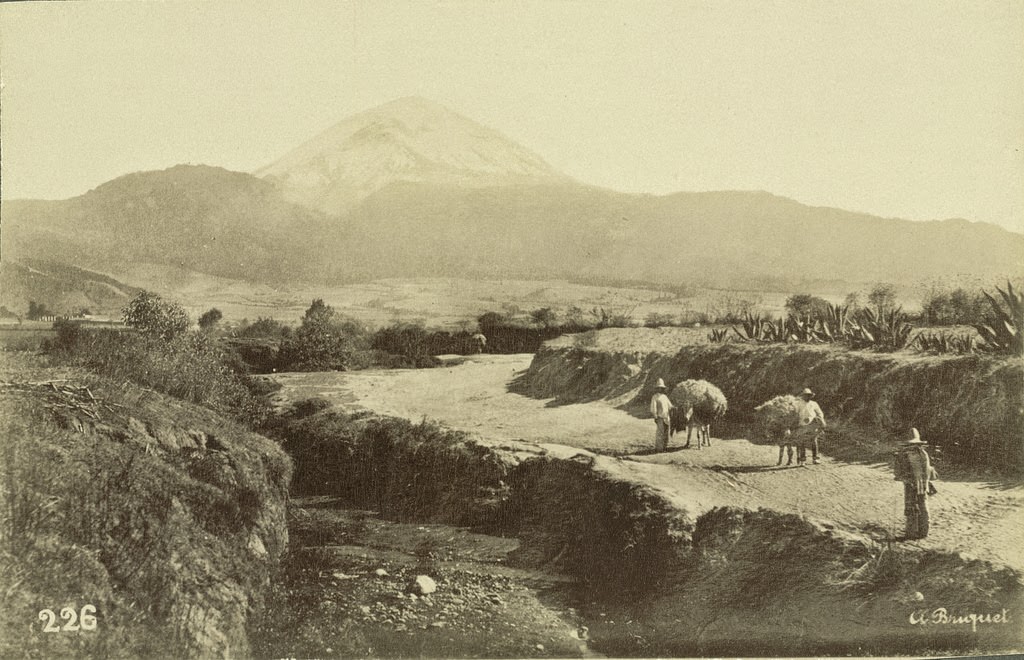 #14 Mount Popocatepetl seen from near Amecameca. Mexico City, 1855
