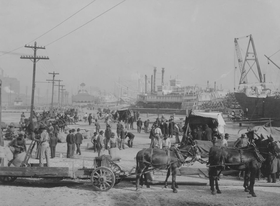 #14 The docks of New Orleans on the Mississippi, with sugar being unloaded from traditional steam boats, 1880.