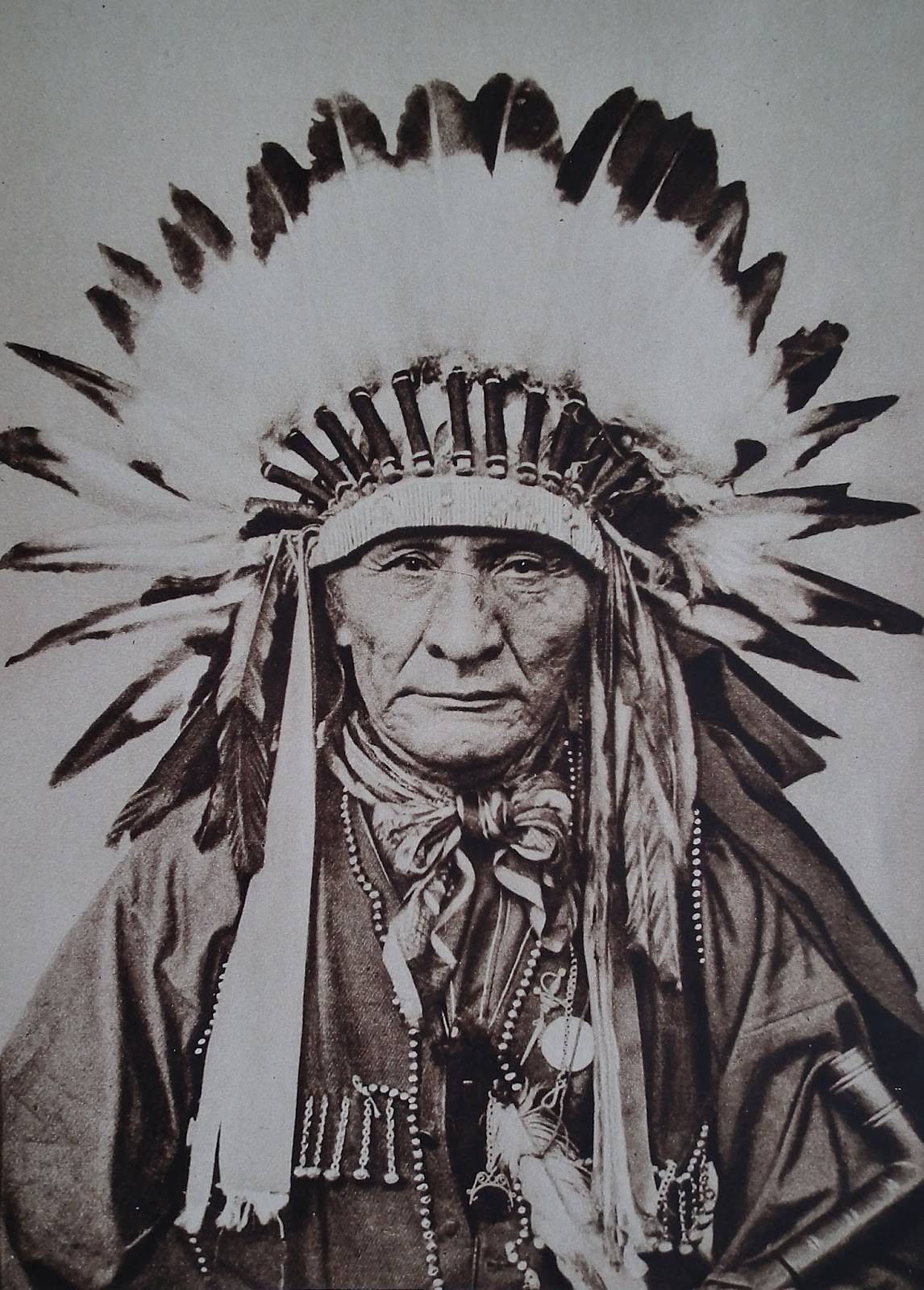 #5 Indian chief.