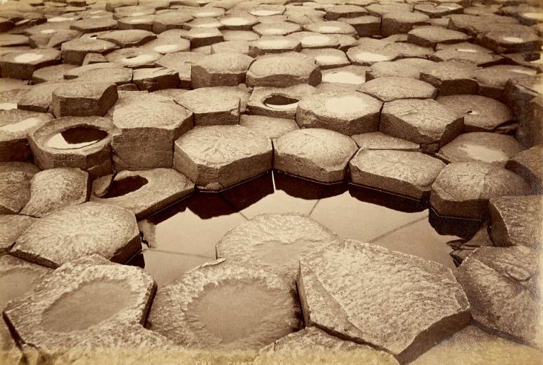 #36 The Giants Fan, Giant’s Causeway