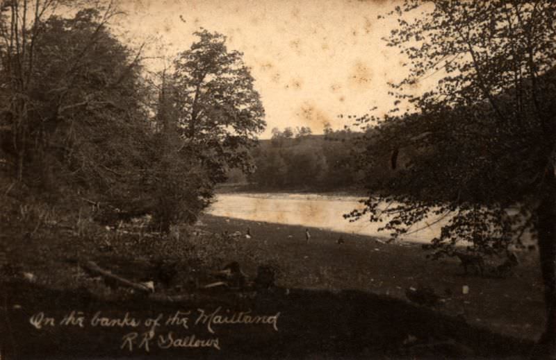 #41 On the banks of the Maitland, Ontario, 1880s.
