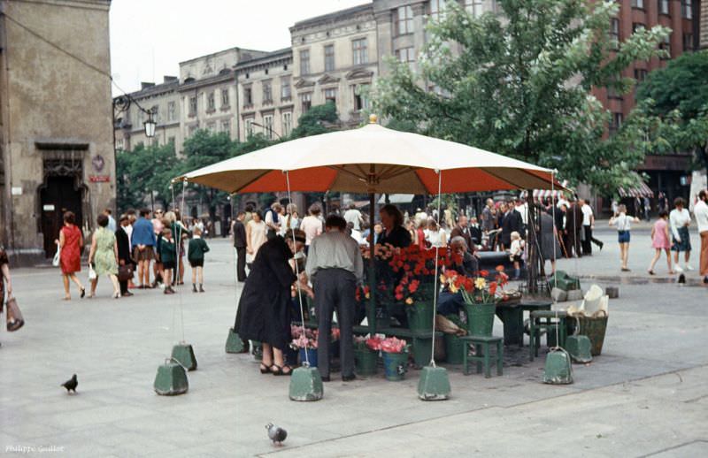 #26 Florist. Krakow, July 1970