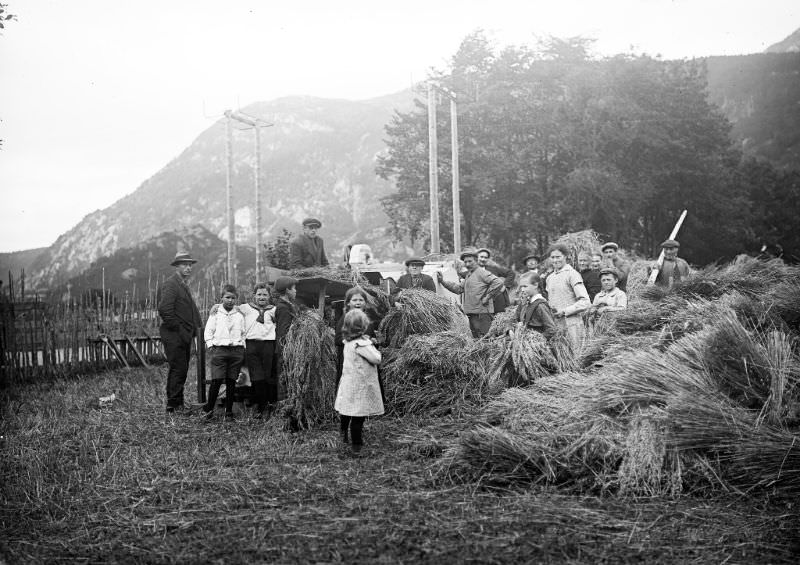 #20 Harvesting at Øyrane in Førde municipality.