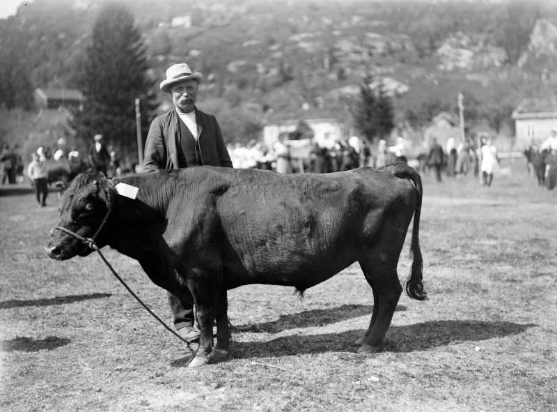 #25 Man and bull at a cattle show
