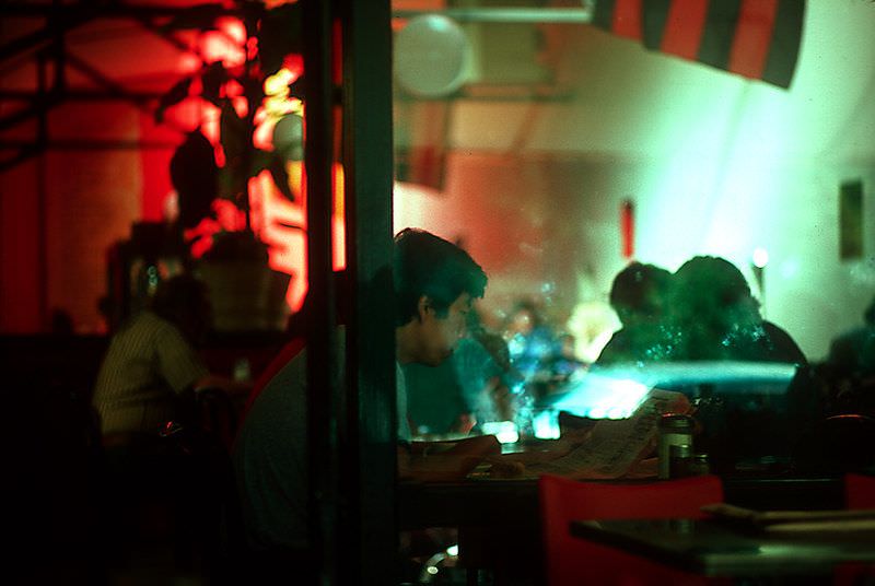 #28 The Little Farm, Berkeley, December 1979