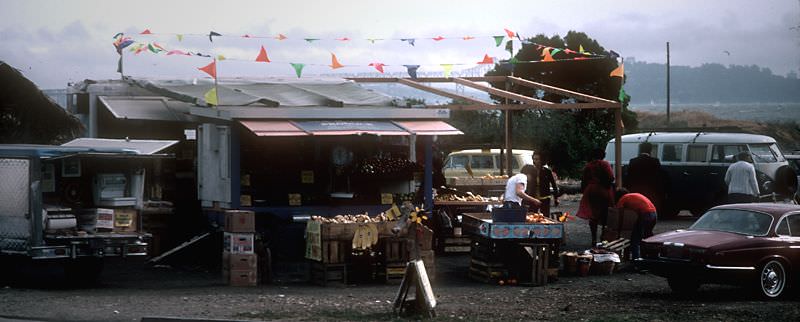 #19 Berkeley sunset, 1981