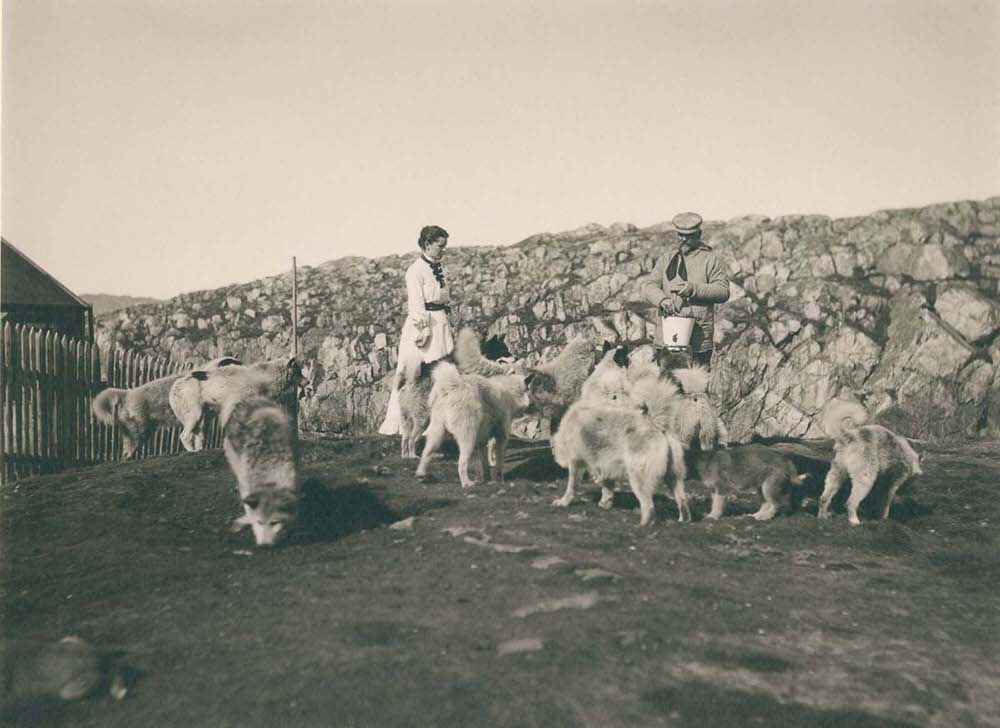 #11 A couple feed dogs in the town of Aasiaat, 1890s