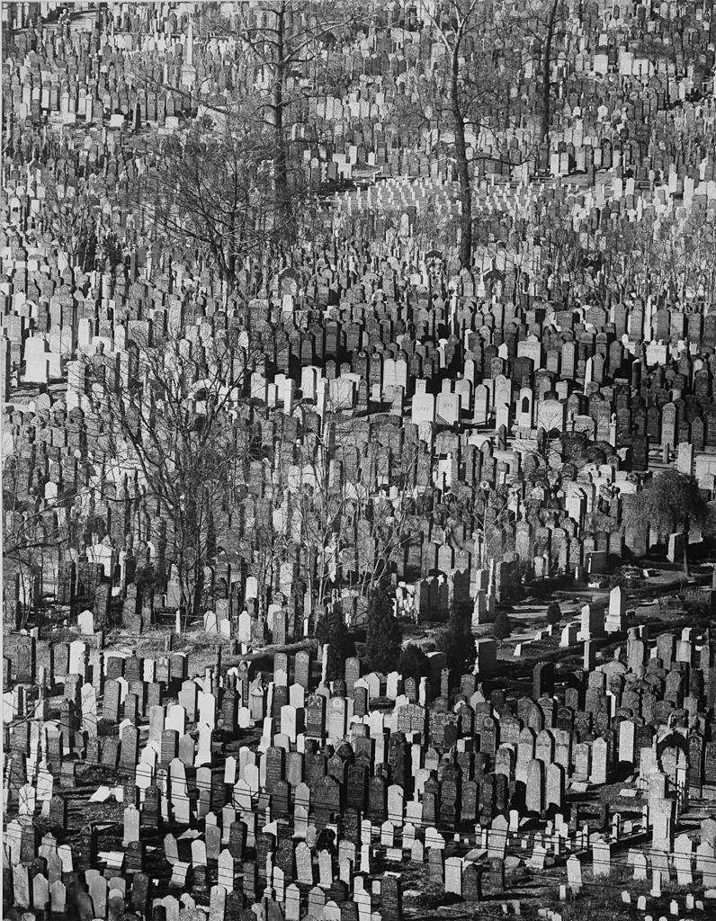 #11 Jewish cemetery, Brooklyn, New York City, 1952.