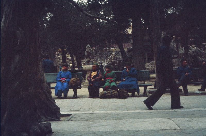 #10 Beijing street scenes