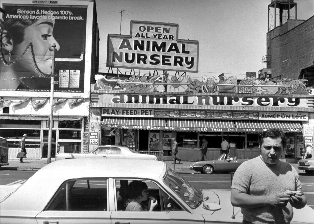 #19 Surf Avenue in Brooklyn’s Coney Island neighborhood, 1973.