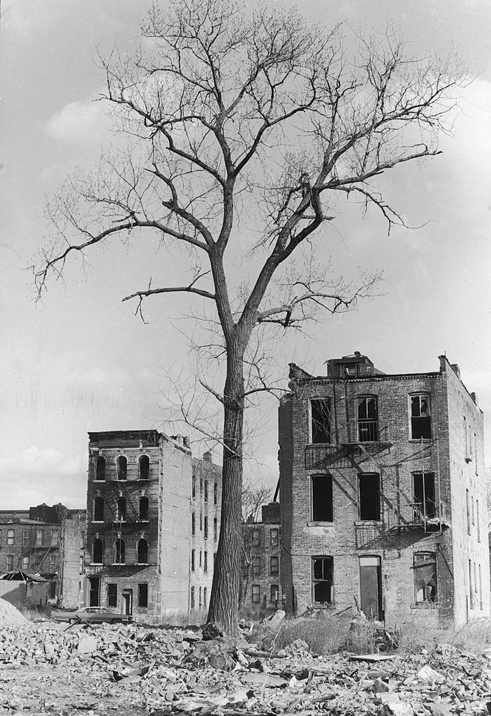 #9 Abandoned apartment buildings across a vancant lot full of debris in the Brownsville neighborhood of Brooklyn, 1971.