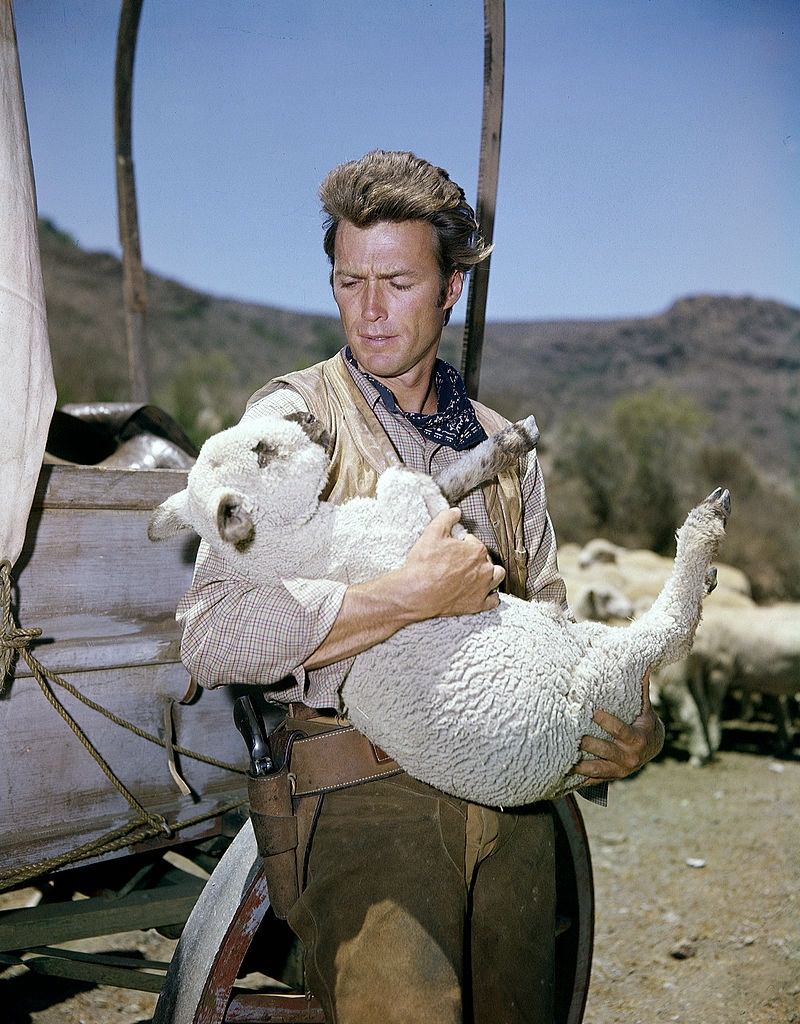 #44 Clint Eastwood carrying a lamb, 1962.