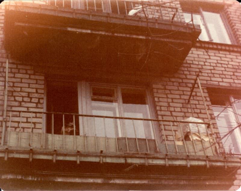 #25 Apartment with large dog, Leningrad, 1977
