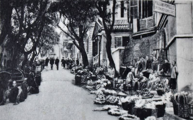 #55 Wyndham Street, where flowers are sold