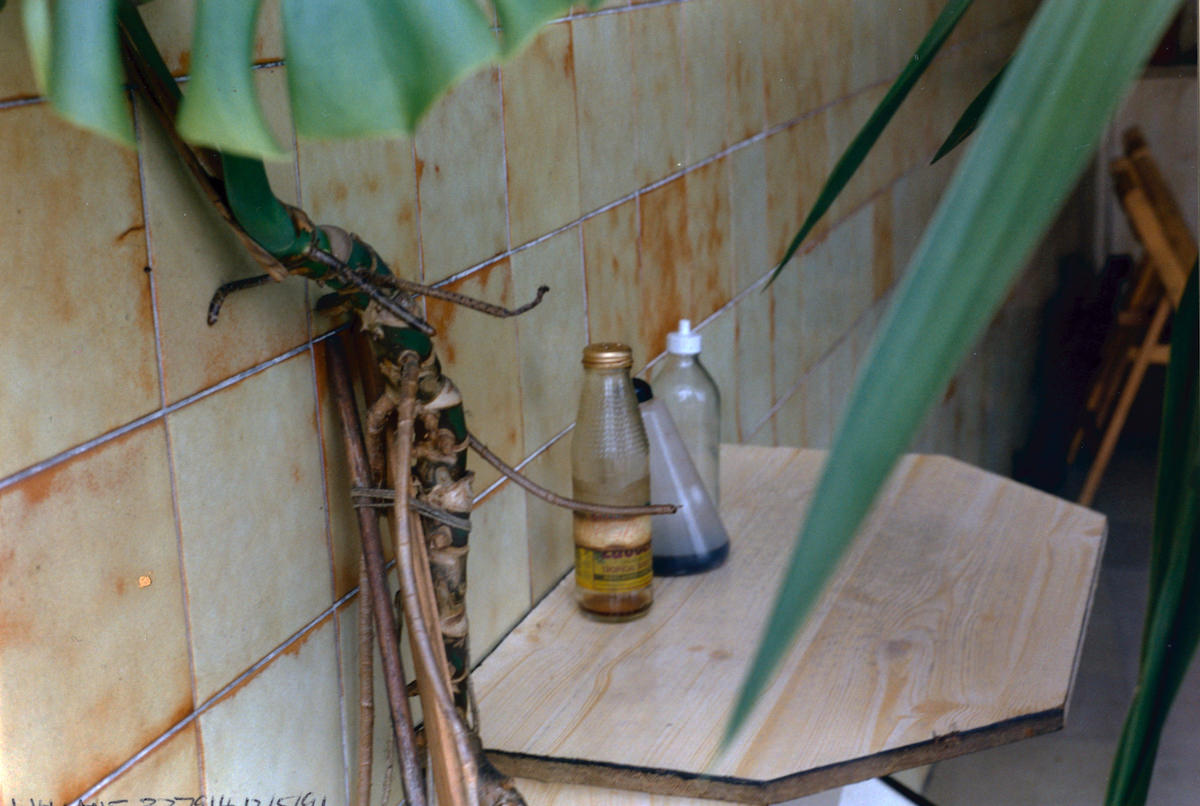 #38 Cafe on White Hart Lane, Tottenham, Haringey, London, 1991