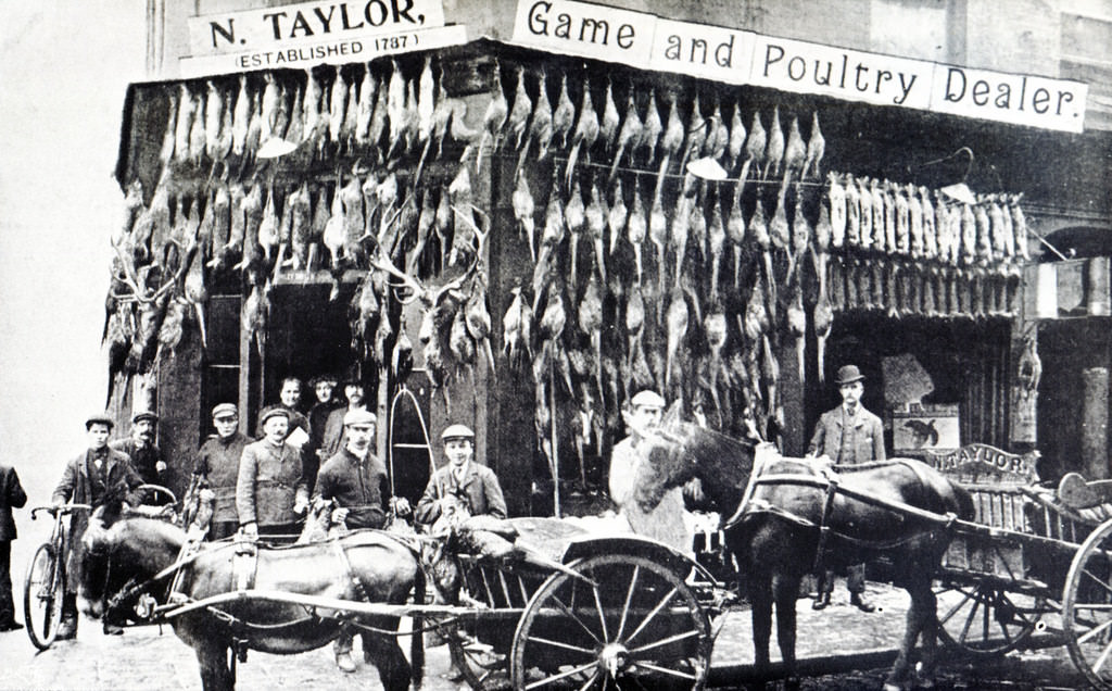 #12 N.Taylor game and poultry dealer with all its fresh birds on display, Nicholas Street, 1899