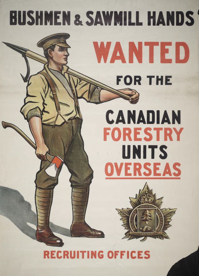 Bushmen &; Sawmill Hands Wanted For the Canadian Forestry Units Overseas Recruiting Offices