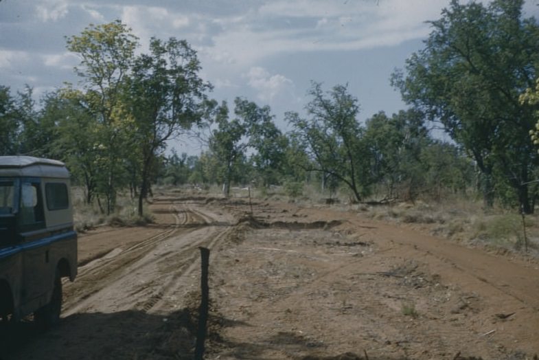 #2 Town Kununurra Marking out Coolibah Drive, Ord River Irrigation Area, November 1959