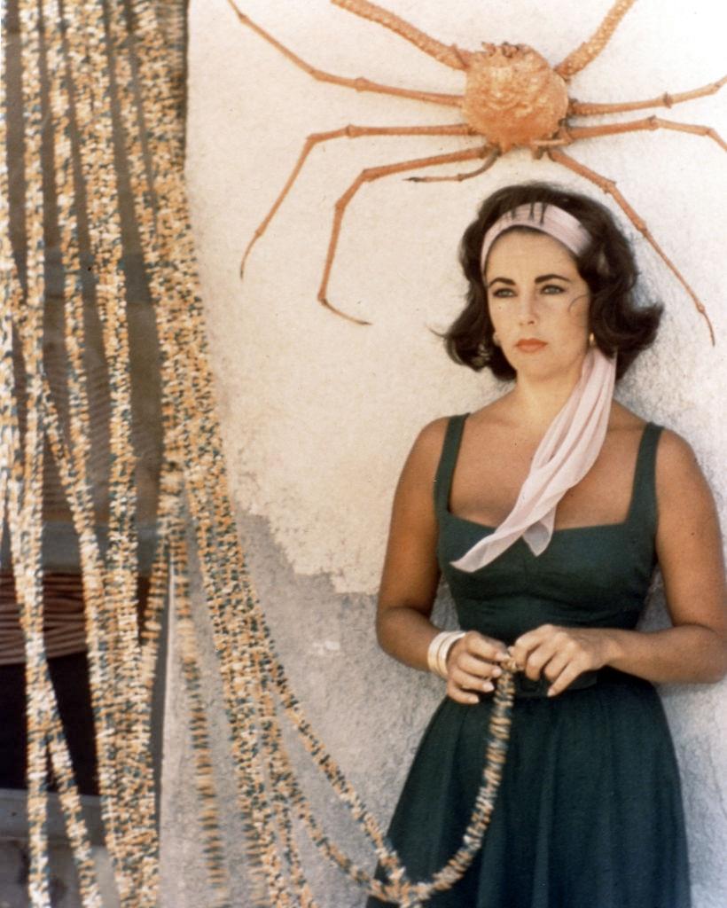 Elizabeth Taylor on the set of “Suddenly Last Summer,” 1959.