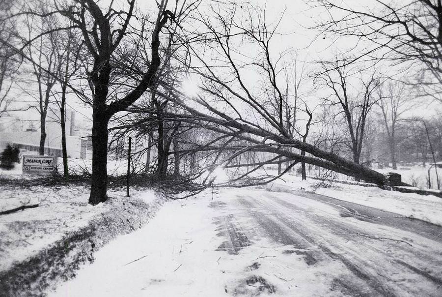 #50 A fallen tree blocks West Market Street at Manor Care Nursing Home. The 1978 storm knocked out power, heat and phone service to thousands across Northeast Ohio.