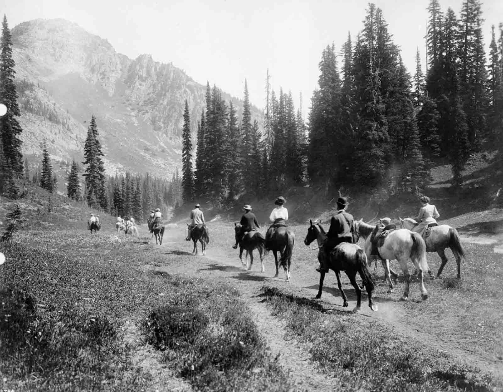 #16 Tourists ride through Mt. Rainier National Park, 1909.