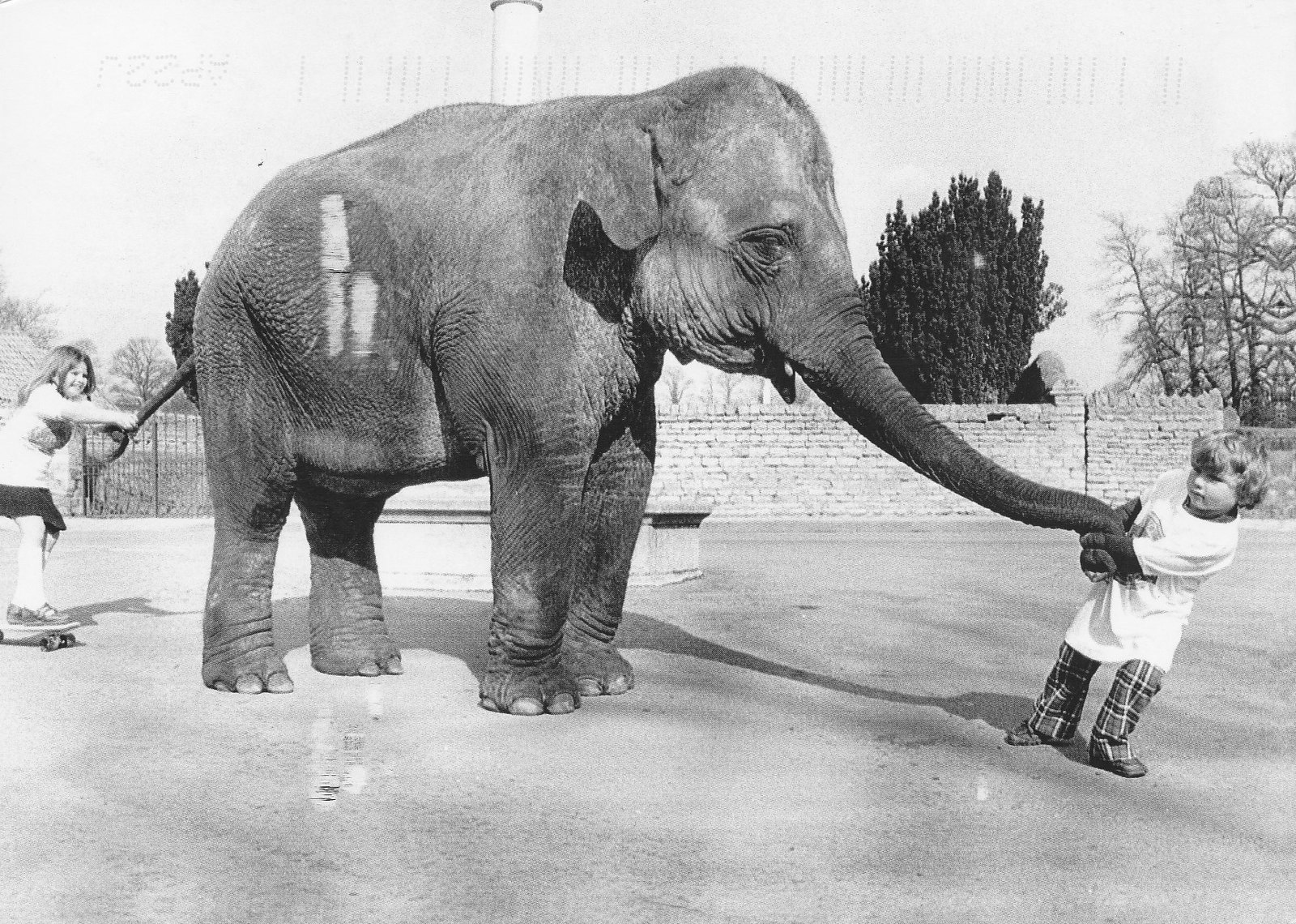 Lovely Photos of Little Girl and Her Best Friend Elephant, 1980s Funny