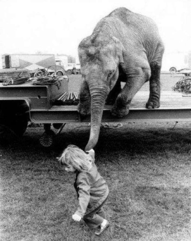 Lovely Photos of Little Girl and Her Best Friend Elephant, 1980s Funny