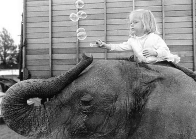 #7  Lovely Photos of Little Girl and Her Best Friend Elephant, 1980s #7 Funny