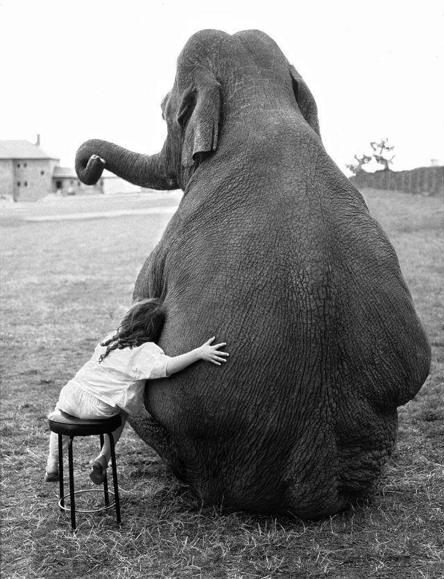 Lovely Photos of Little Girl and Her Best Friend Elephant, 1980s Funny