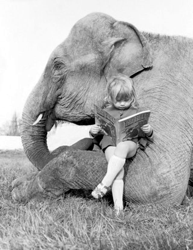 Lovely Photos of Little Girl and Her Best Friend Elephant, 1980s Funny