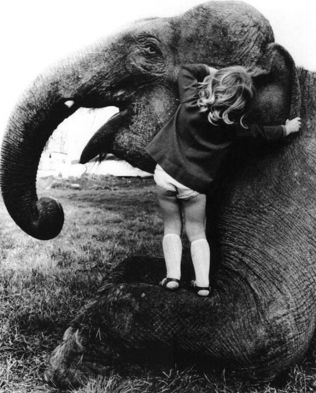 Lovely Photos of Little Girl and Her Best Friend Elephant, 1980s Funny