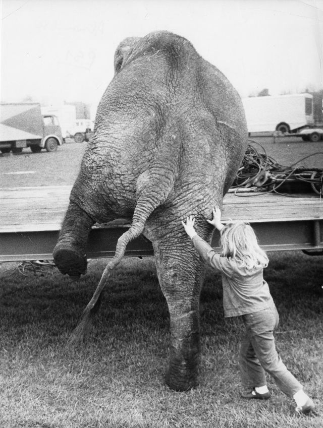 Lovely Photos of Little Girl and Her Best Friend Elephant, 1980s Funny
