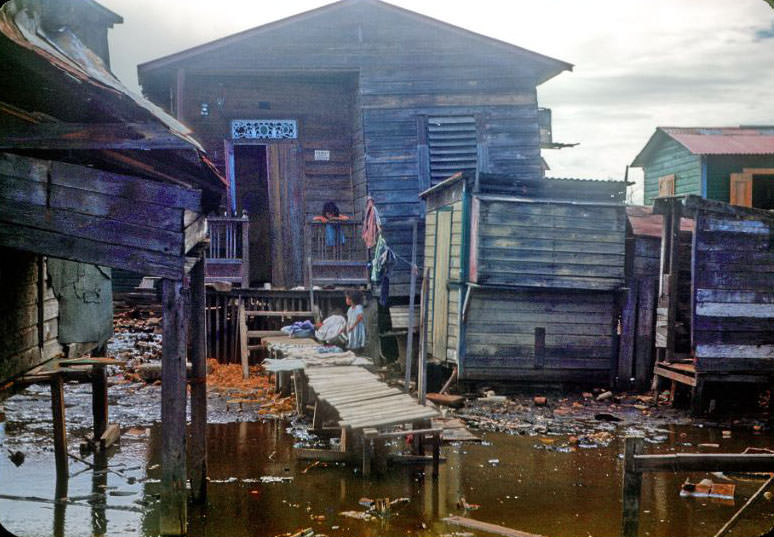 #15 El fanguito, Cataño