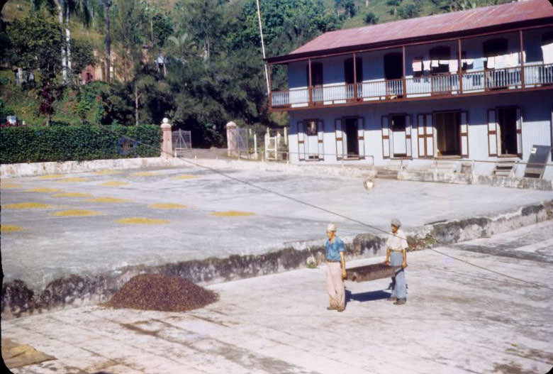 #21 Drying coffee, pile of coffee on large concrete pad, two men with large wooden tray with handles
