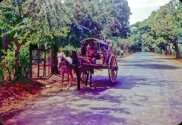 #43 Ponce wagon