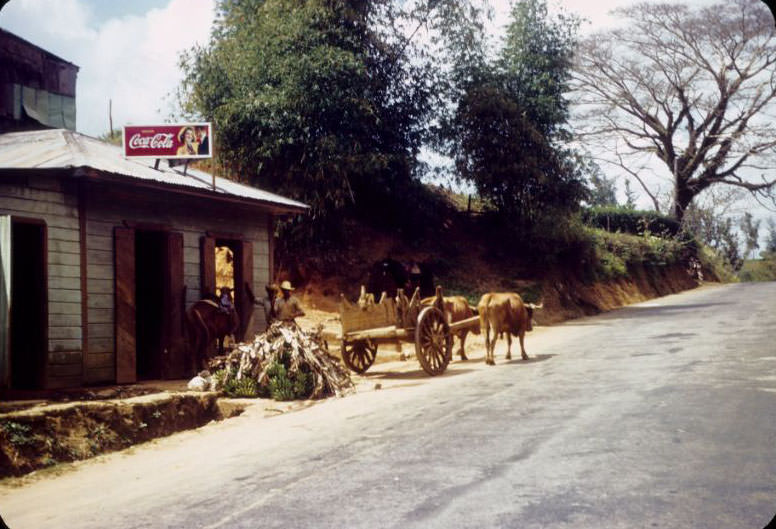 #48 Roadside store and ox cart
