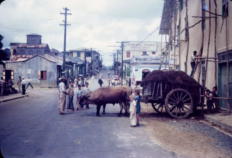 #6 Ox cart backed up to tobacco warehouse, Aibonito
