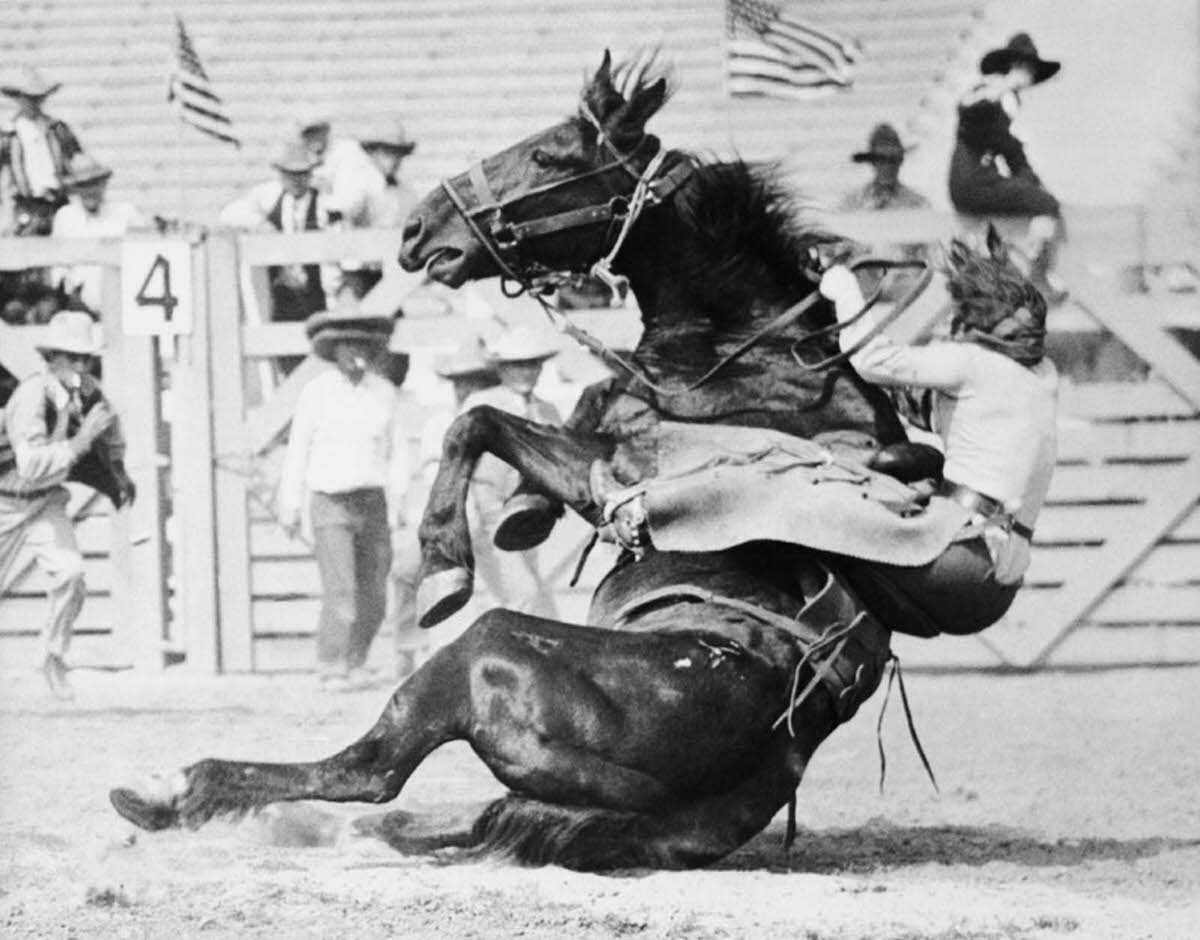 #8 Fox Hastings, a cowgirl and trick rider, being thrown by Undertow, one of the meanest horses at the first annual Los Angeles Rodeo, circa 1920s.