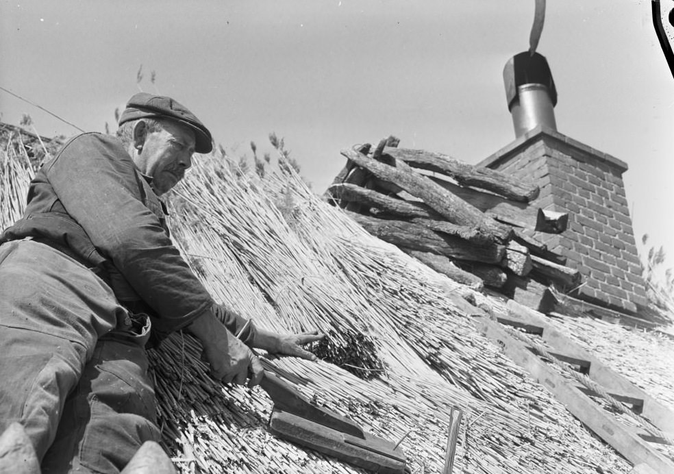 #20 Tatcher on the roof